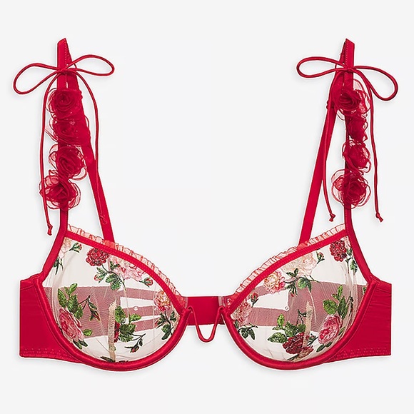 for love and lemons rose embroidered bra🌹 - Picture 6 of 9